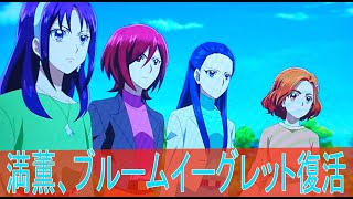 キボウノチカラオトナプリキュア２３第９話感想