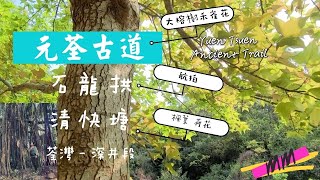 #元荃古道 | #石龍拱 | #清快塘 | Yuen Tsuen Ancient Trail | Ep. 7