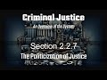 Section 2.2.7: The Politicization of Justice