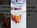 5 amazing facts about the human heart