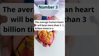 5 Amazing Facts About the Human Heart