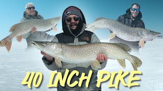 40+ Inch Manitoba Northern Pike | INSANE Ice Fishing Trip