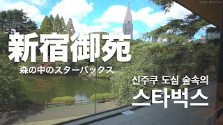 【新宿】森の中のスターバックス | 신주쿠 도심에 있는 숲속의 스타벅스 [HDR]