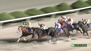 2021/11/7 佐賀競馬6R 九州大賞典 グレイトパール