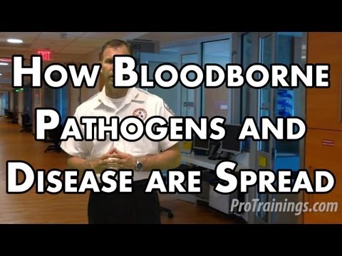 Is CMV a bloodborne pathogen?