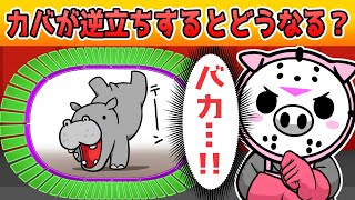 全部わかったら天才！？脳トレタイムショック【アニメ】【クイズ】