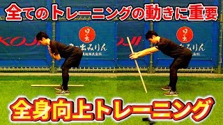 全てのトレーニングに繋がる！野球選手に必須の股関節トレーニング