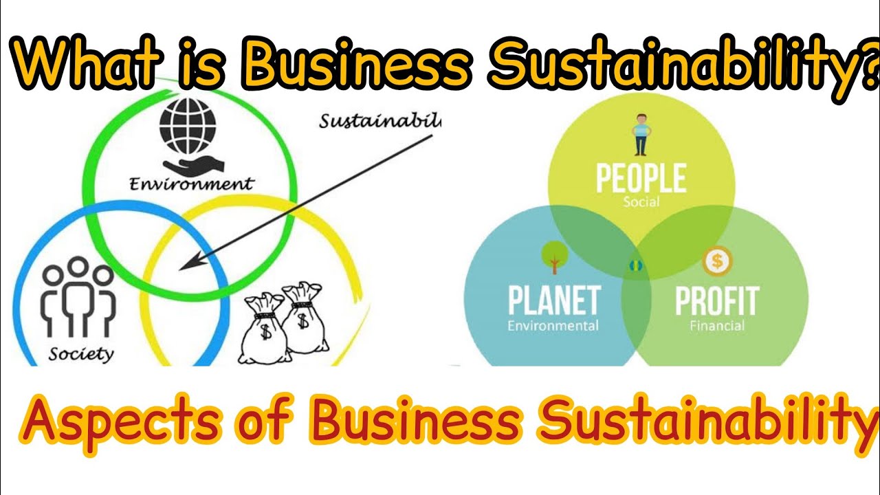 What Is Business Sustainability? Aspects Of Business Sustainability. By ...