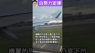 飛機如何飛起來？白努力定律Bernoulli's principle-四幸丸老師的理化科學Vlog