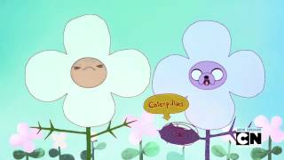 Flower song from the Adventure Time episode \