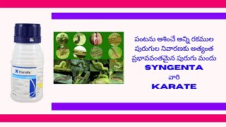 Syngenta Karate Insecticide