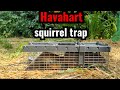 Havahart Squirrel trap