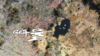 KCTV 탐사 프로젝트 '제주 물' - 3편 한라산의 숲속 정원 숨은물뱅듸