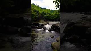 【癒し動画】熊本県山鹿市鹿北町　岳間渓谷　#五木ひろし　#shorts