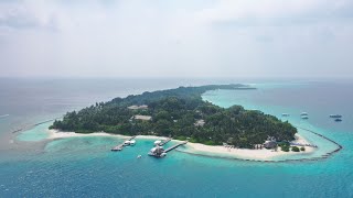 Kuramathi Maldives 2023 Rasdhoo Divers