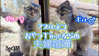 《マヌル》vo.9✩おやつtimeからの夫婦喧嘩w