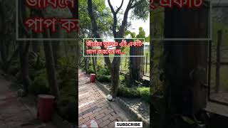 জীবনে ভুলেও একটি পাপ করবেননা,,,#shorts #youtubeshorts