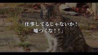 【スカッとする話】病気で入院して義弟の結婚式を欠席した私。怒り狂った義母から離婚の要求「来ないやつは家族じゃない」→言われた通りにした結果…義母は土下座するハメにｗ【修羅場】