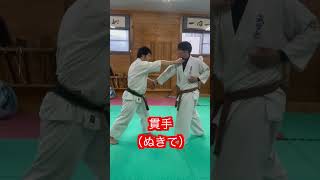 【空手】多彩な打撃技　karate！！#aikido #martial #合気道 #武道 #空手