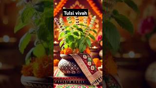 Tulsi vivah #shorts #tulsivivah #trending #viralvideo #tulsi #tulsi pujan vidhi