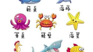 Marine Life animals in Chinese 海底生物