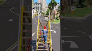 GTA V : Baby Saving SpiderMan From Gaint Spiders 😱| #shorts