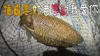 傳說中的花枝窟 要怎麼釣大花枝?  #釣魚人故事04  #釣軟絲 #釣花枝 #木蝦 #流籠釣法