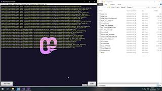 Compile content during runtime with the MonoGame.Forms - RuntimeBuilder (WIP)