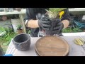 파키포디움 에버넘 분갈이했습니다😄😄 오도로분과 찰떡이네욤 pachypodium rosulatum var . eburneum