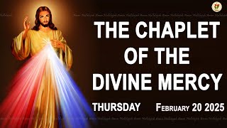 Chaplet of the Divine Mercy I Thursday February 20 2025 I Divine Mercy Prayer I 12.00 PM