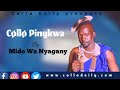 new shilluk song mido wa nyagany south sudan music