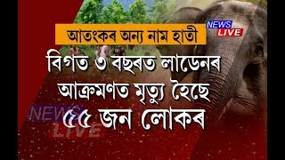 ট্ৰেংকুলাইজ হোৱা নাই ‘লাডেন’, এতিয়ালৈ মৃত্যু ৫৫জন লোকৰ