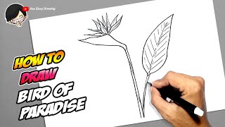 How to draw Bird of Paradise