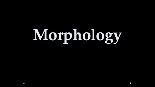 The Quickest and the Easiest Guide to Morphology  !! What is Morphology ? What is a morpheme ? !!