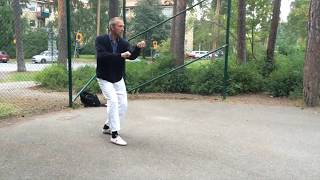 Sun Style Xing Yi Quan - Wu Xing Quan (Five elements fist)