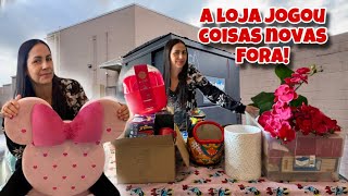 Dumpster diving! A loja jogou coisas novas fora!🇺🇸