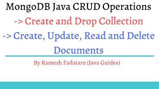 MongoDB Java CRUD Operations Example Tutorial