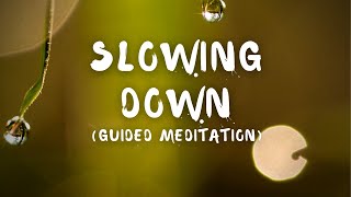 Slowing Down | Meditation guided by Brother Phap Huu