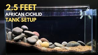 Budget-Friendly 2.5 Feet African Cichlid Tank Setup