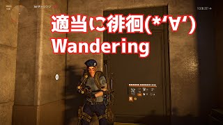 [ディビジョン２]徘徊する！　stroll　[THEDIVISION2]