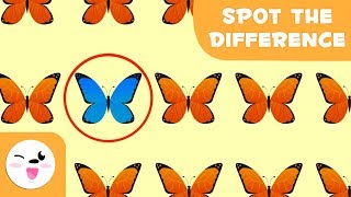 Guess the odd one out - Visual attention skills for kids - International Environment Day