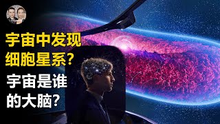 100億光年的宇宙網和大腦神經網高度相似！我們生活在巨型生命腦中?宇宙中發現細胞星系群！