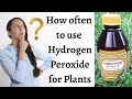 When to use hydrogen peroxide on plants