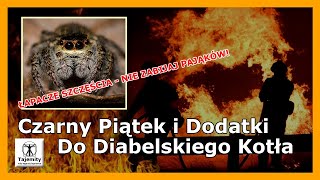 Czarny Piątek i Dodatki Do Diabelskiego Kotła - Nie Zabijaj Pająków