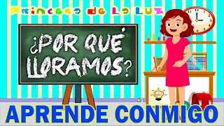 ¿POR QUÉ LLORAMOS? 😥 VÍDEO Explicativo EDUCATIVO Para NIÑOS 💥 APRENDE CONMIGO ▪ PRINCESA De La LUZ