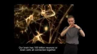 How We Learn - Synapses and Neural Pathways (BSL)