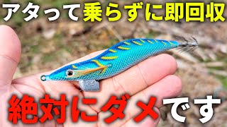 それ、折角のイカを逃してます。エギングでアタリを掛け損ねても、そこからが本当のチャンスです！！