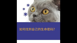 什么是生命密码数字，发现自己的天赋找到人生使命？