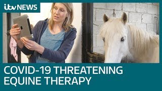 Covid-19 threatening equine therapy | ITV News