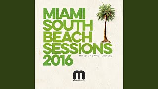 Miami South Beach Sessions 2016 (Continuous DJ Mix)